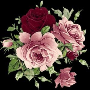 Meet your Posher, Shelby